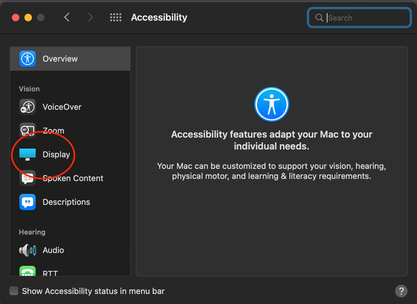 Mac Accessibility Screen Options